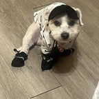 Dog wearing boots outdoors