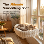 Cat sunbathing on window perch