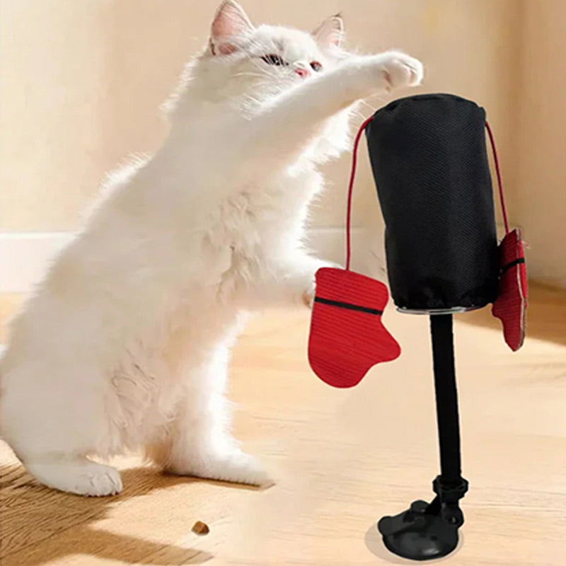 Interactive cat toy with stable base