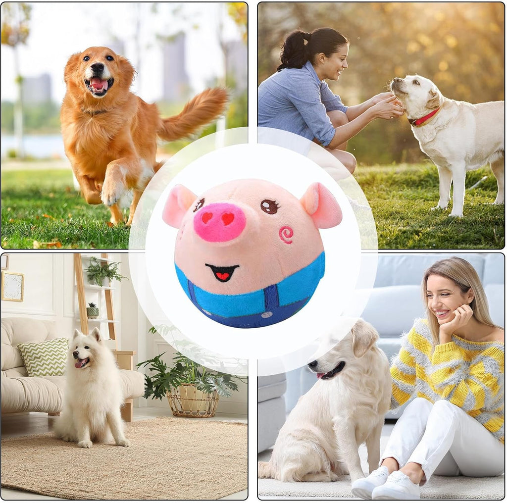 Dog playing with interactive plush toy