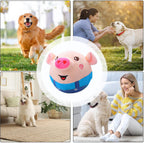 Dog playing with interactive plush toy