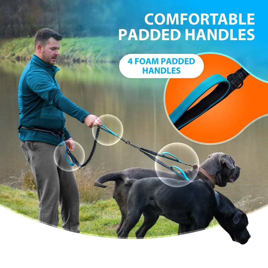Double bungee dog leash