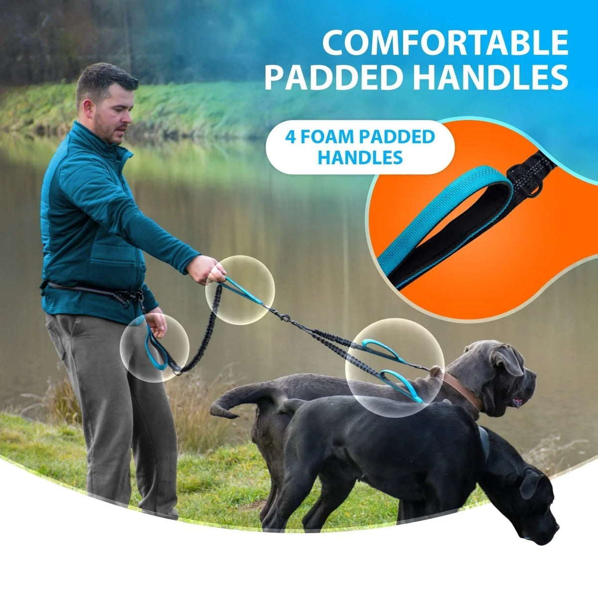 Double bungee dog leash