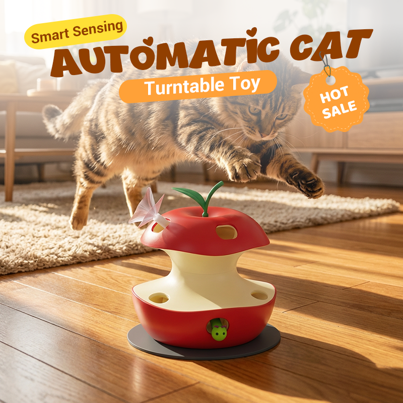 Automatic cat toy in action