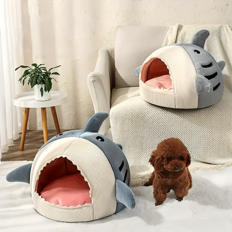 Shark bed padded interior