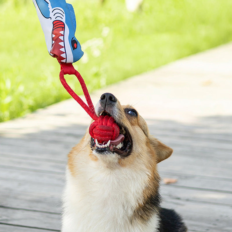 Tug and fetch dog toy