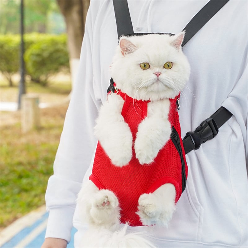 Legs-out pet carrier backpack