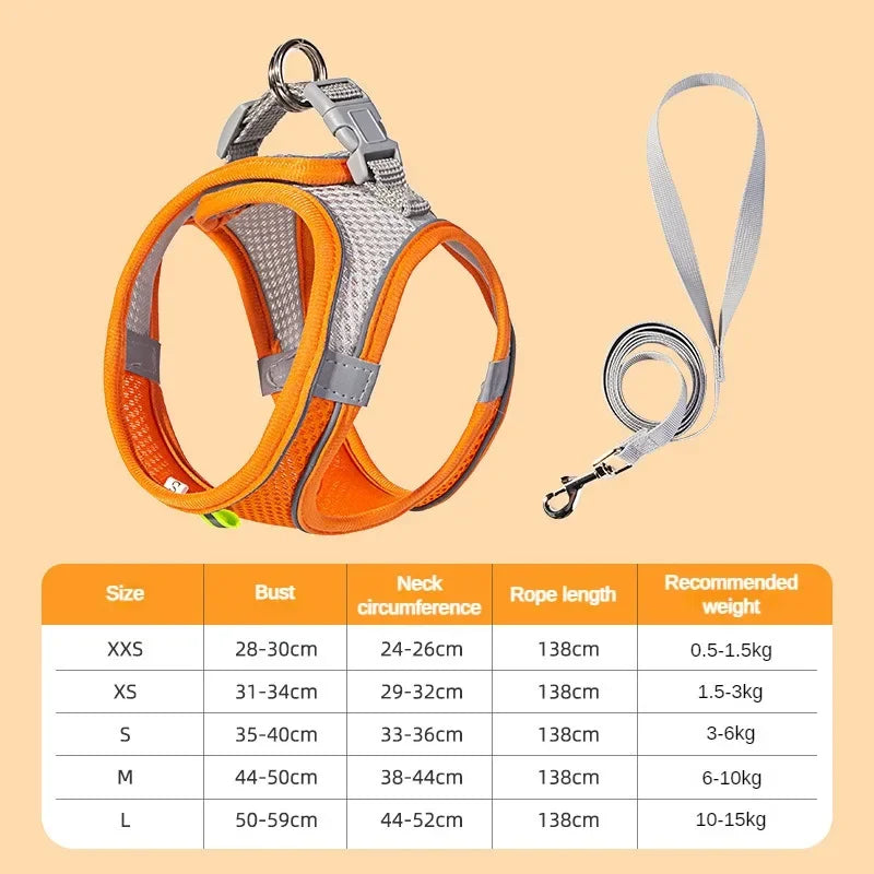 Harness measurement guide