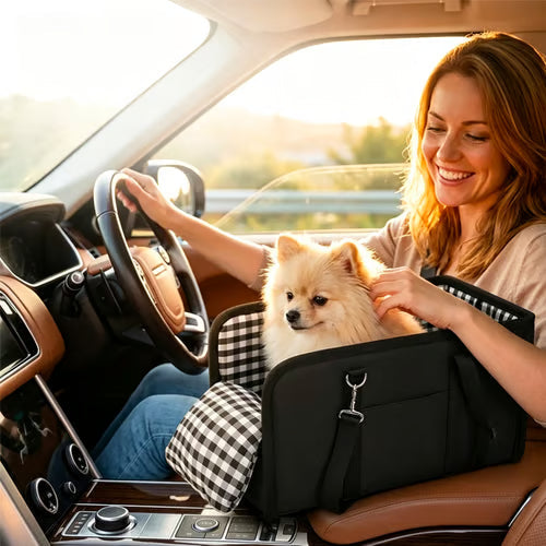 Small dog car seat with tether
