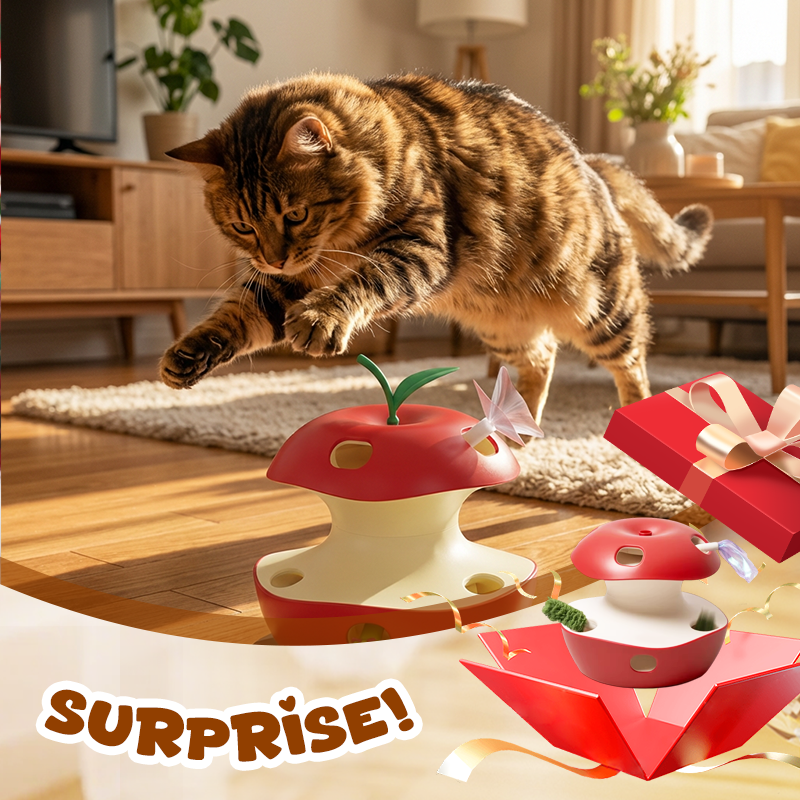 Cat playing with interactive toy