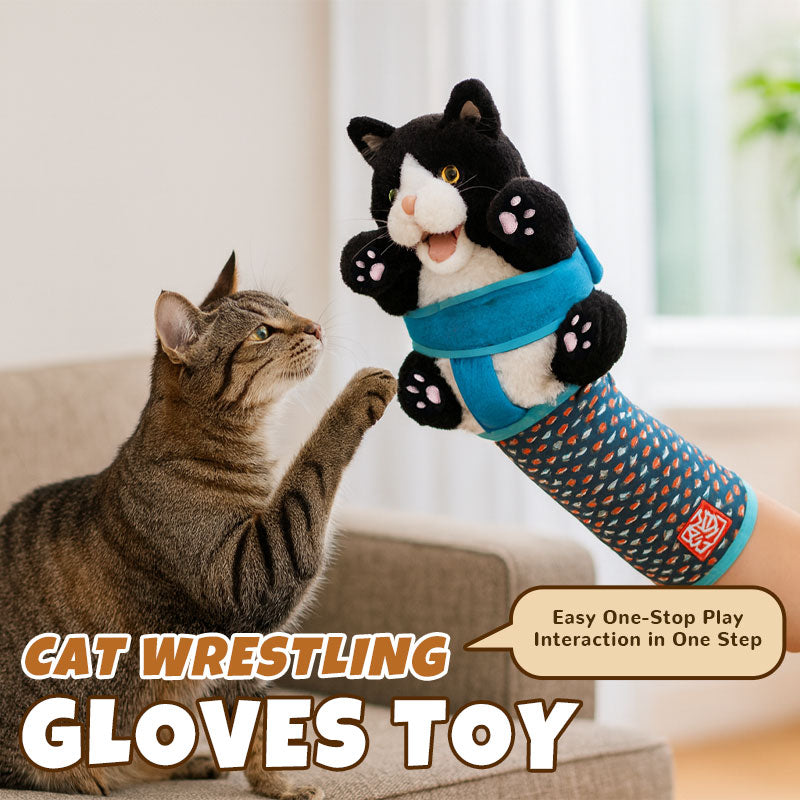 Cat playing with the play glove