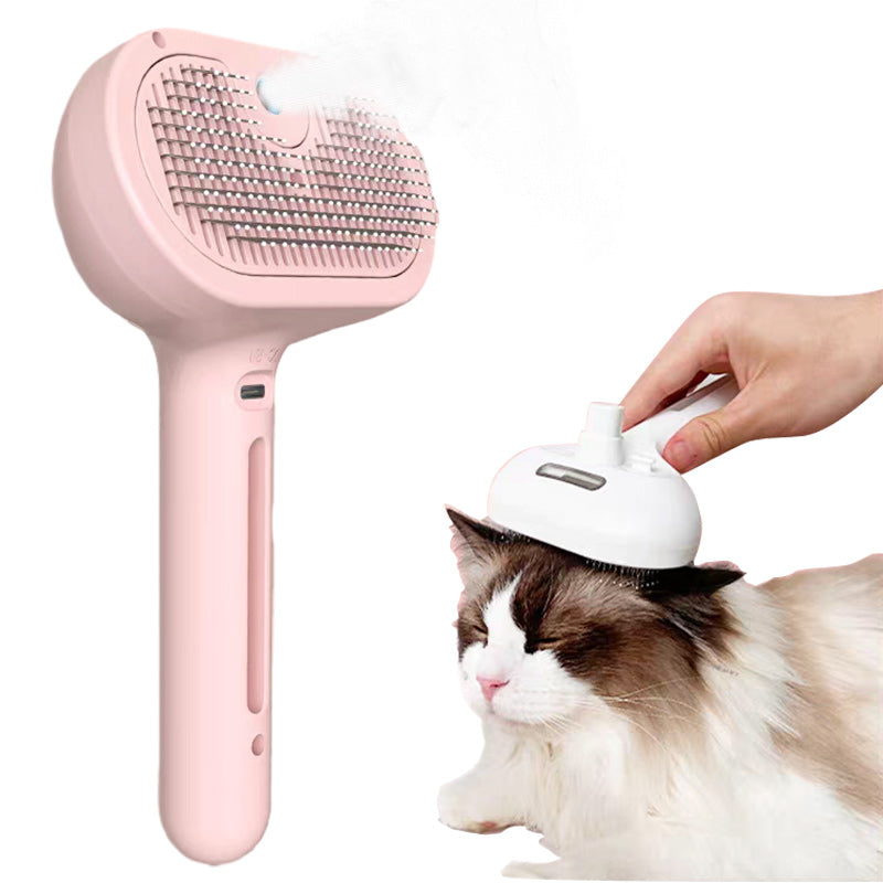 Cat being groomed with spray brush