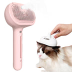 Cat being groomed with spray brush