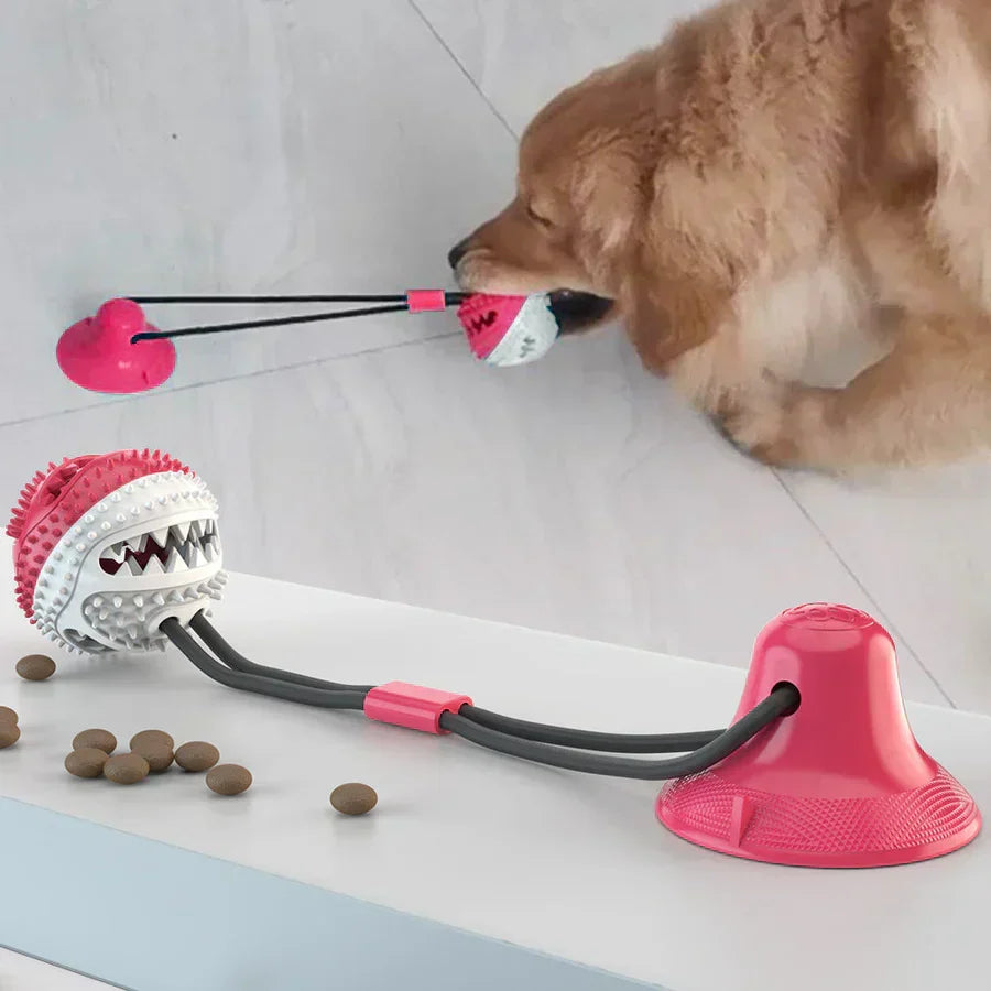 Suction cup tug toy for dogs