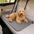 Dog Cooling Mat | Self-Activating Cooling Pad for Dogs | Portable & Comfortable | XS to XXL Sizes 2