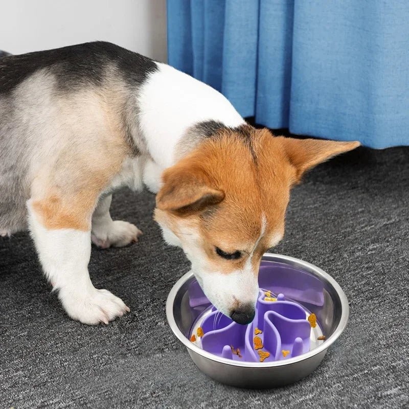 Dog Food Bowl Insert | Slow Feeding Spiral Design | Durable Silicone with Suction Cup 4