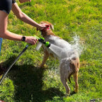 Dog Shower Head | 8 Spray Settings | Built-in Soap Dispenser | Lightweight and Easy to Use 1