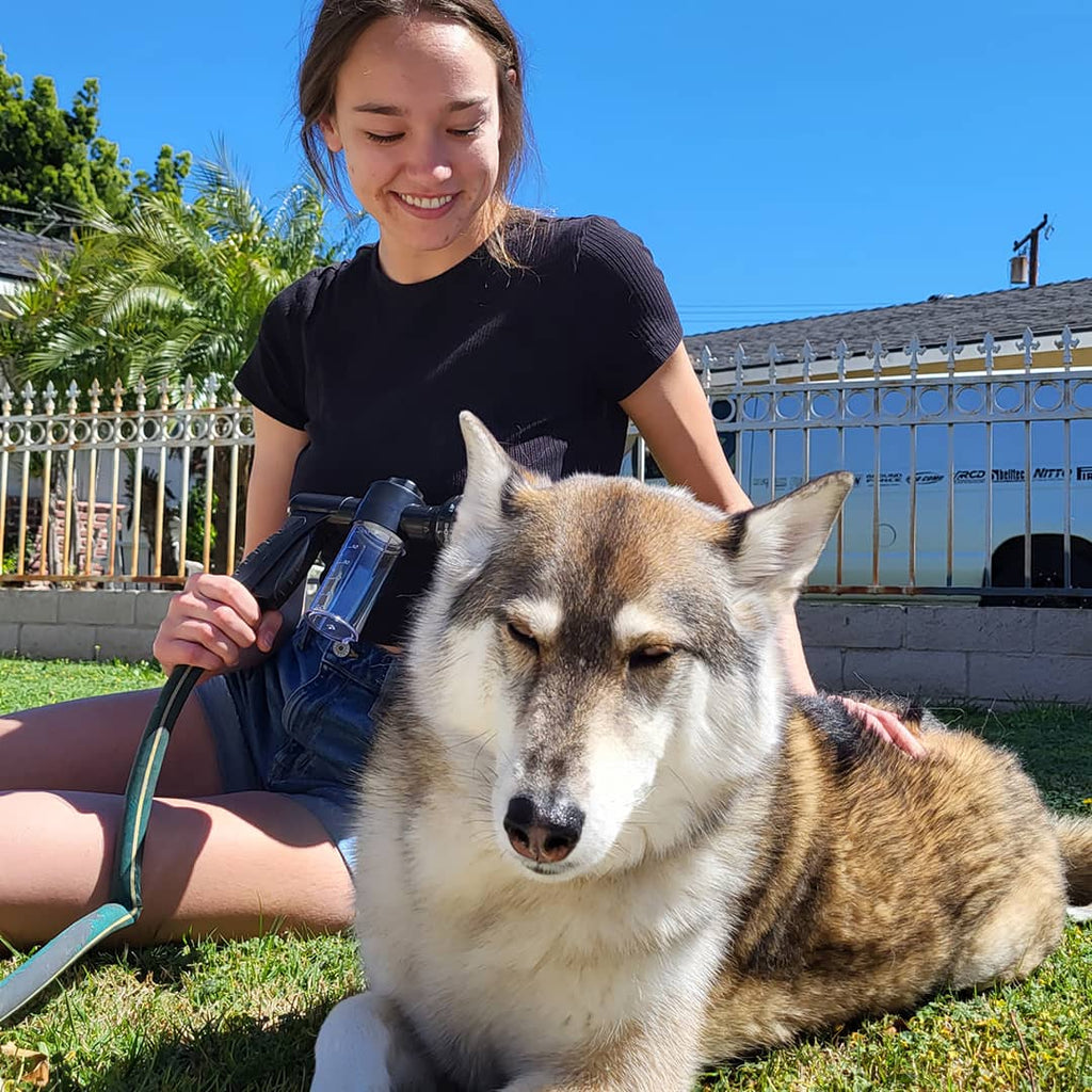 Dog Shower Head | 8 Spray Settings | Built-in Soap Dispenser | Lightweight and Easy to Use 4