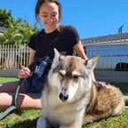 Dog Shower Head | 8 Spray Settings | Built-in Soap Dispenser | Lightweight and Easy to Use 4