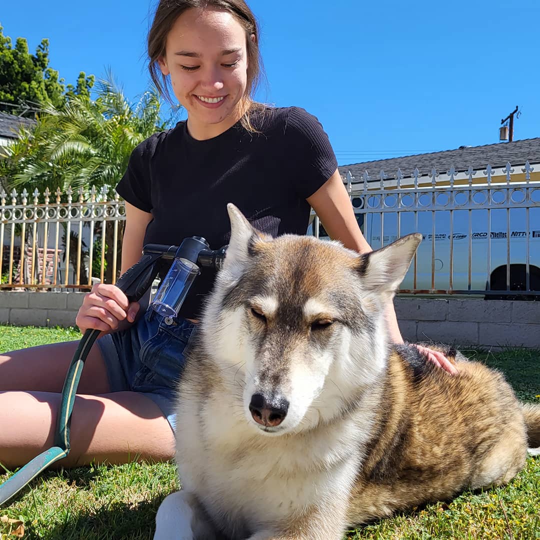 Dog Shower Head | 8 Spray Settings | Built-in Soap Dispenser | Lightweight and Easy to Use 4