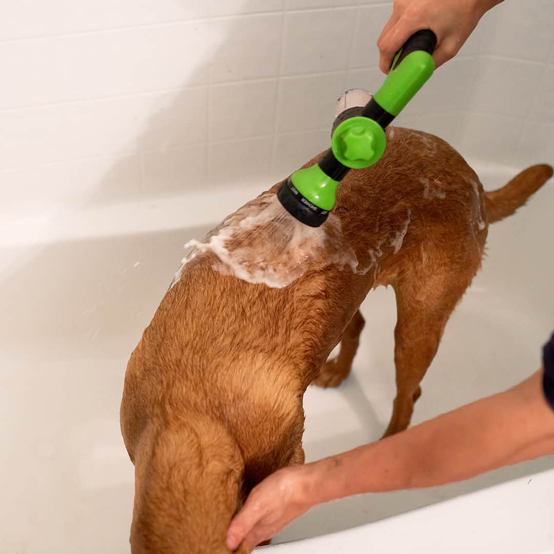 Dog Shower Head | 8 Spray Settings | Built-in Soap Dispenser | Lightweight and Easy to Use 5