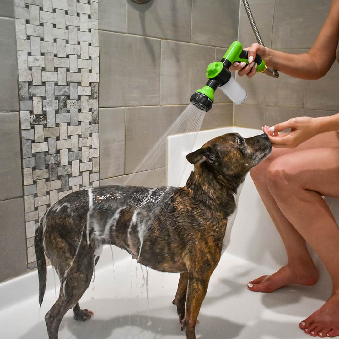 Dog Shower Head | 8 Spray Settings | Built-in Soap Dispenser | Lightweight and Easy to Use 6