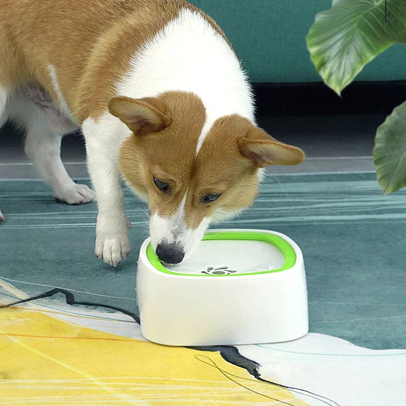 Splash-free pet water bowl
