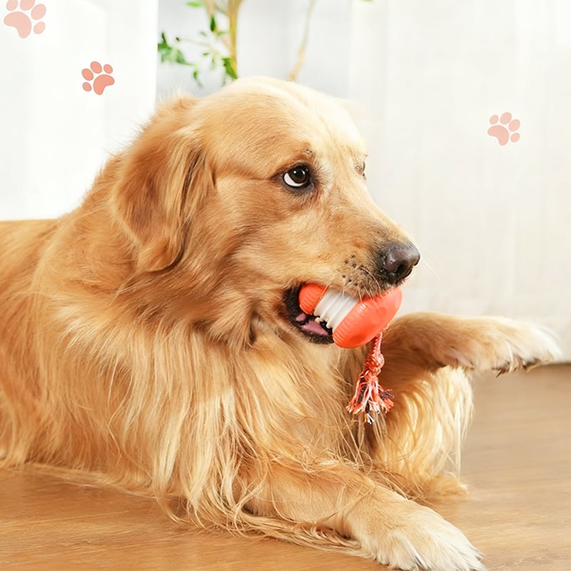 Interactive Dog Toy | Motion-Activated & Chew-Resistant | Engaging Play for Active Dogs 1