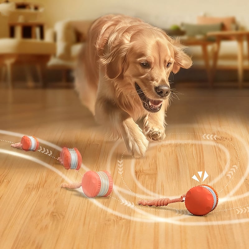 Interactive Dog Toy | Motion-Activated & Chew-Resistant | Engaging Play for Active Dogs 2