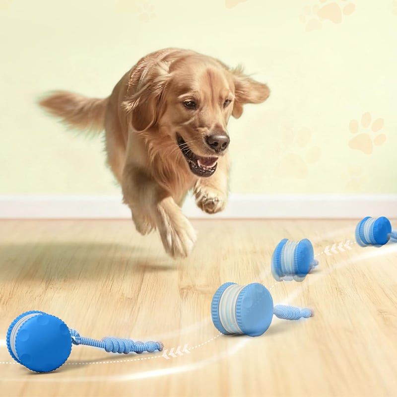 Interactive Dog Toy | Motion-Activated & Chew-Resistant | Engaging Play for Active Dogs 4