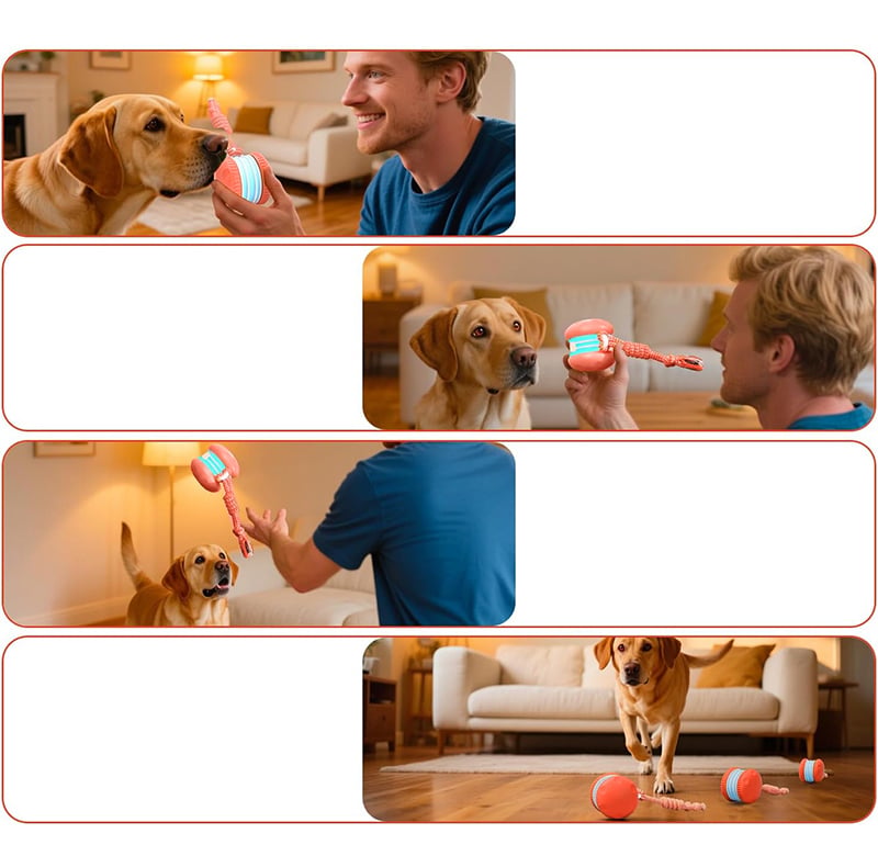 Interactive Dog Toy | Motion-Activated & Chew-Resistant | Engaging Play for Active Dogs 5