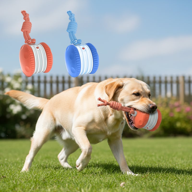 Interactive Dog Toy | Motion-Activated & Chew-Resistant | Engaging Play for Active Dogs 7