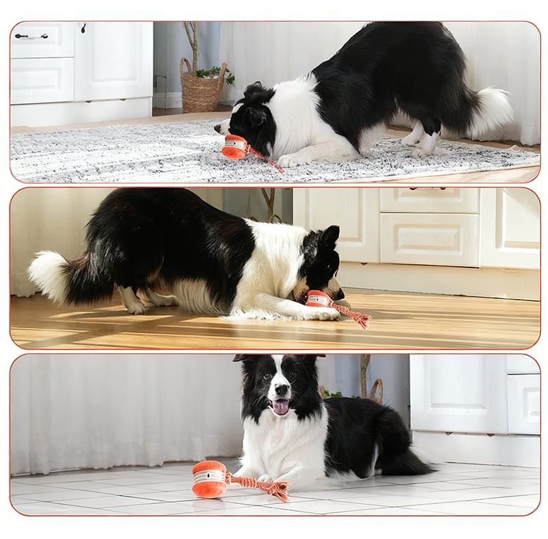 Interactive Dog Toy | Motion-Activated & Chew-Resistant | Engaging Play for Active Dogs 8