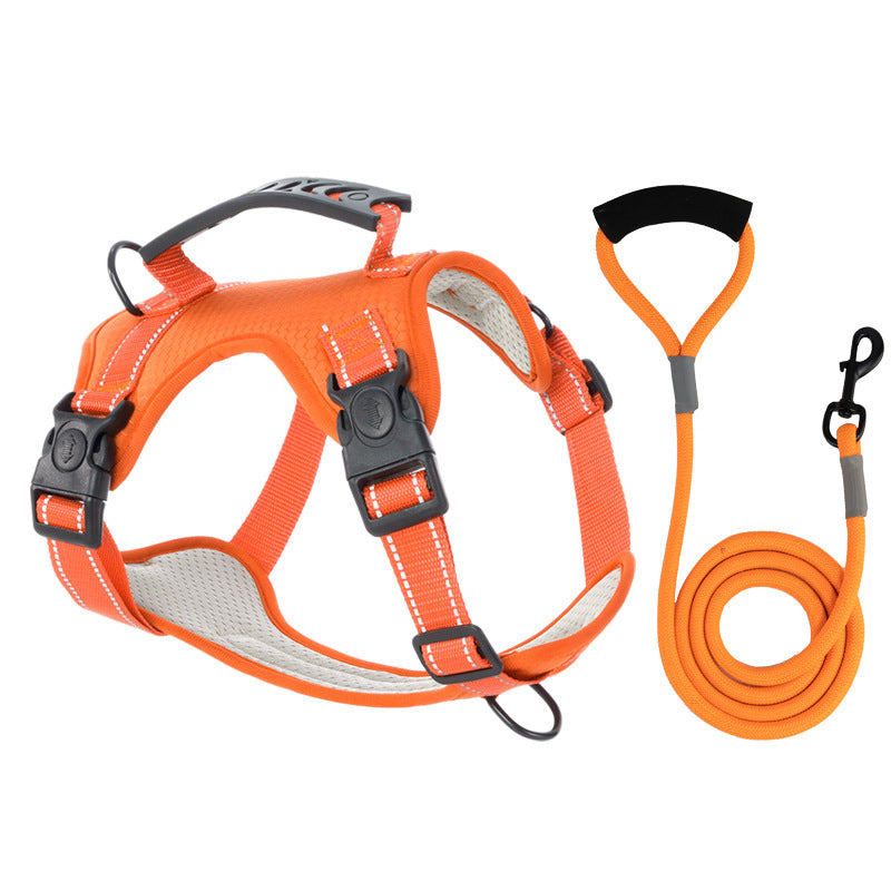 Dog harness in orange