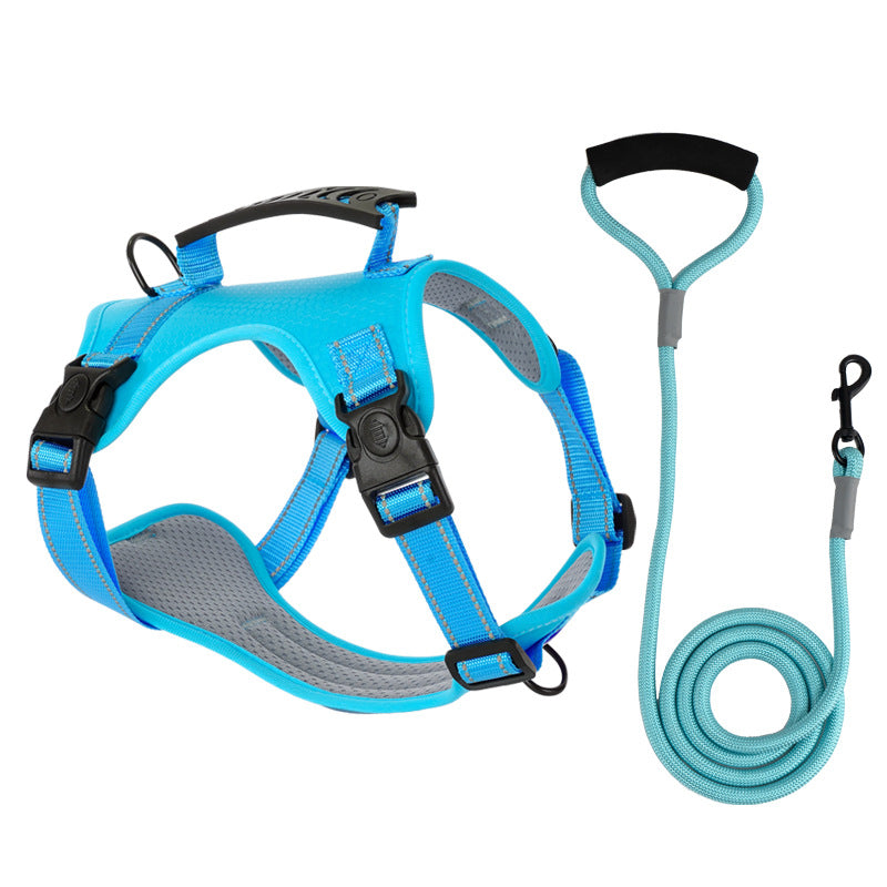 Dog harness in blue