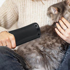 Grooming brush in use on a cat