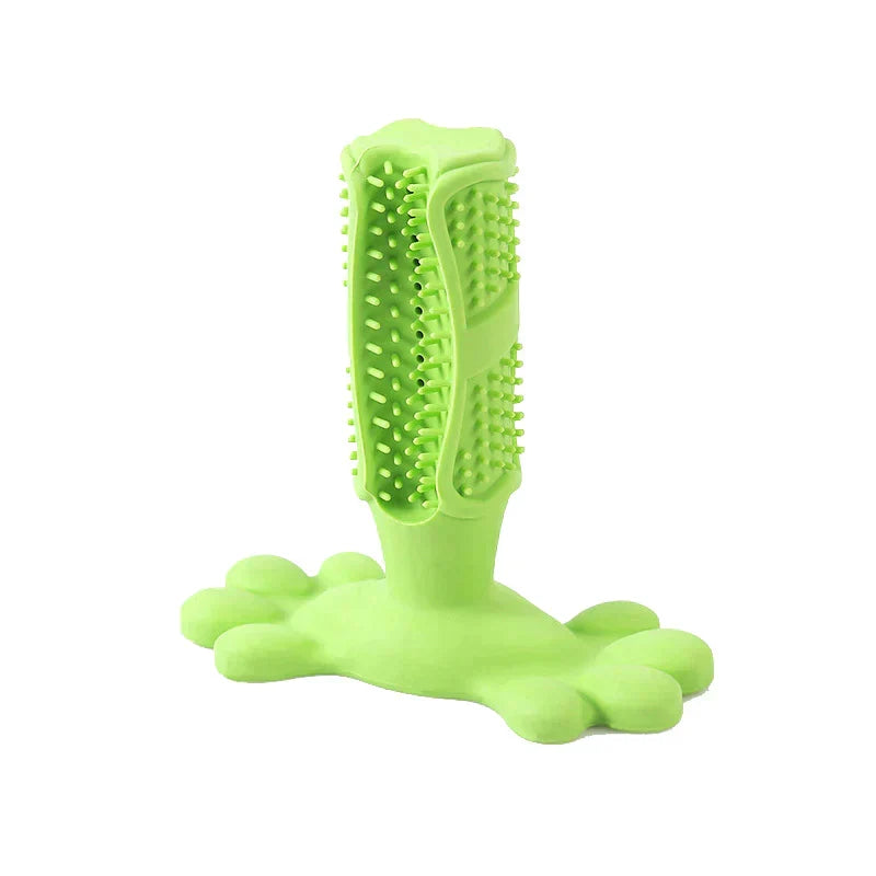 Dog chewing toothbrush stick