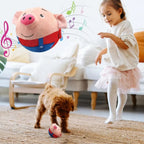Dog playing with bouncing plush toy