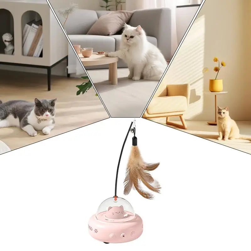 Automatic cat toy detail