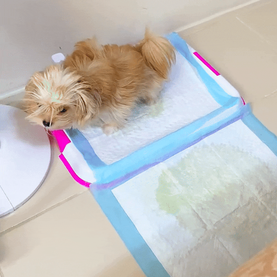 Puppy Training Pads | Ultra Absorbent & Odor Blocking | Leak-Proof Design | Non-Slip Base