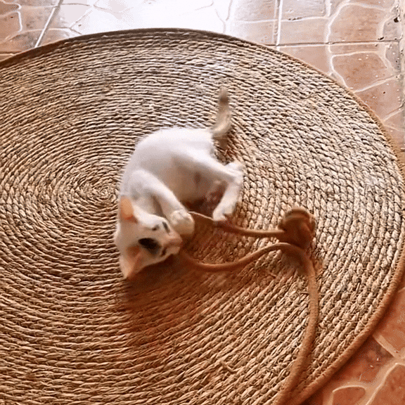 Natural Sisal Cat Scratching Mat - Dual Function Furniture Protector