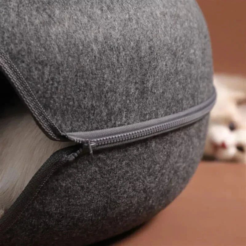 Cat peeking out of felt cave