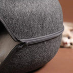 Cat peeking out of felt cave