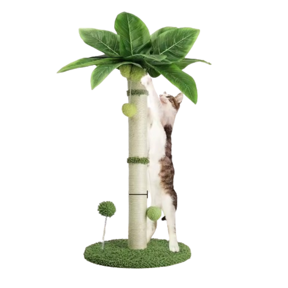 Coconut Rope Cat Tree | Durable Scratch Post | Compact Design | Solid Wood Base | Natural Look