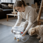 Gravity water dispenser for dogs and cats