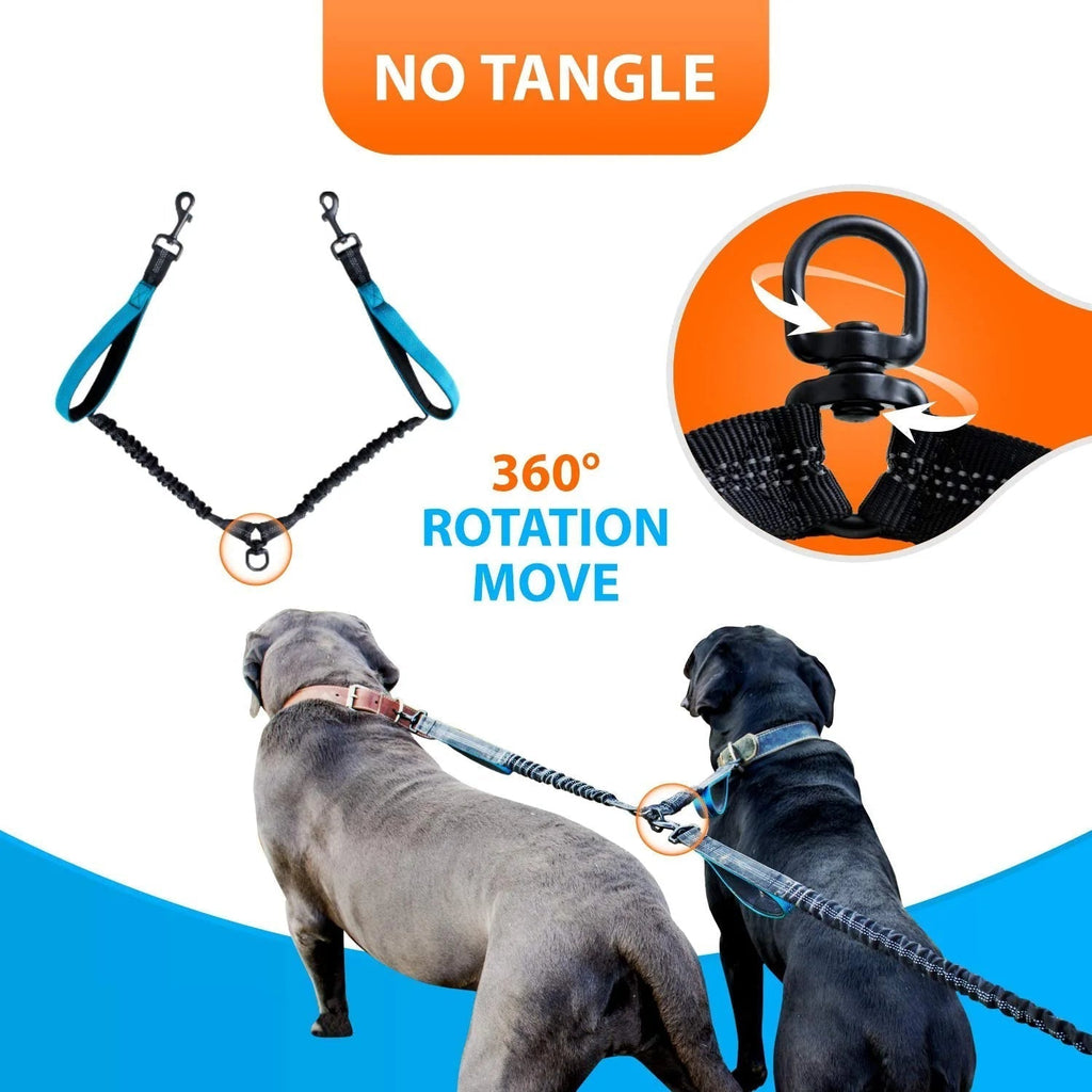 Jogging with two dogs on a waist leash