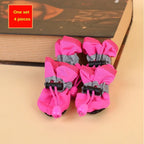 Burgundy dog boots