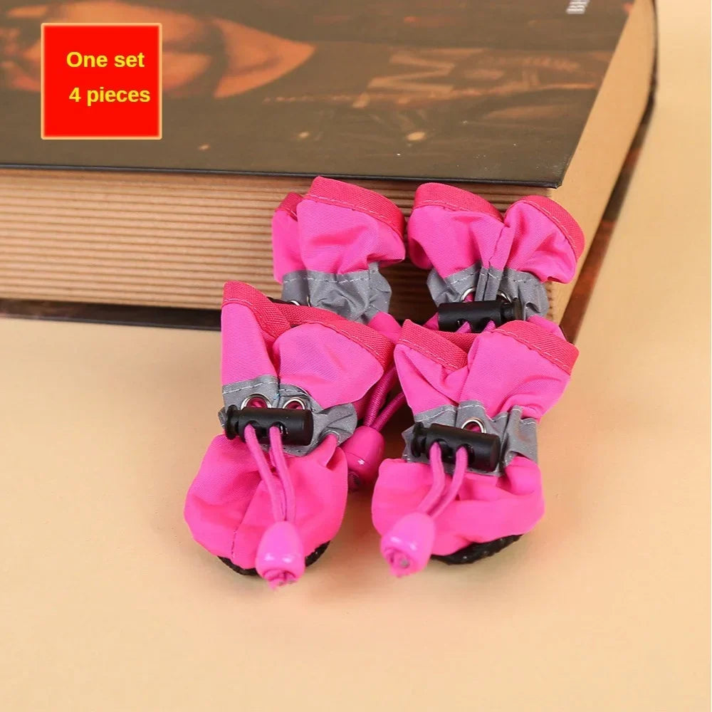 Burgundy dog boots