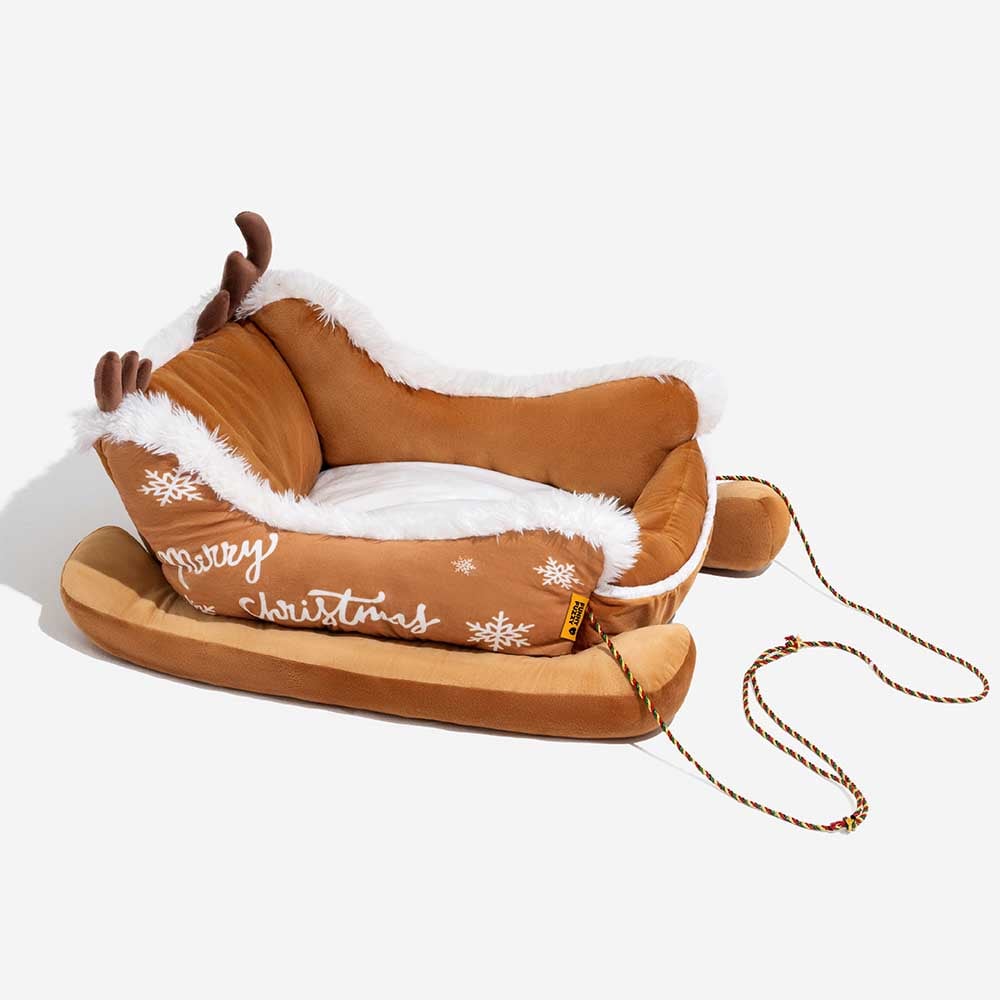 Dog relaxing in sleigh bed