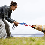 Dog playing tug with the toy
